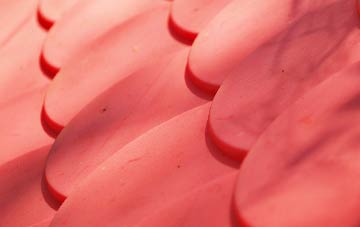 Greenholme plastic roof costs